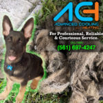 Pet hair in A/C coils